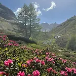 My Peaceful Retreat *
